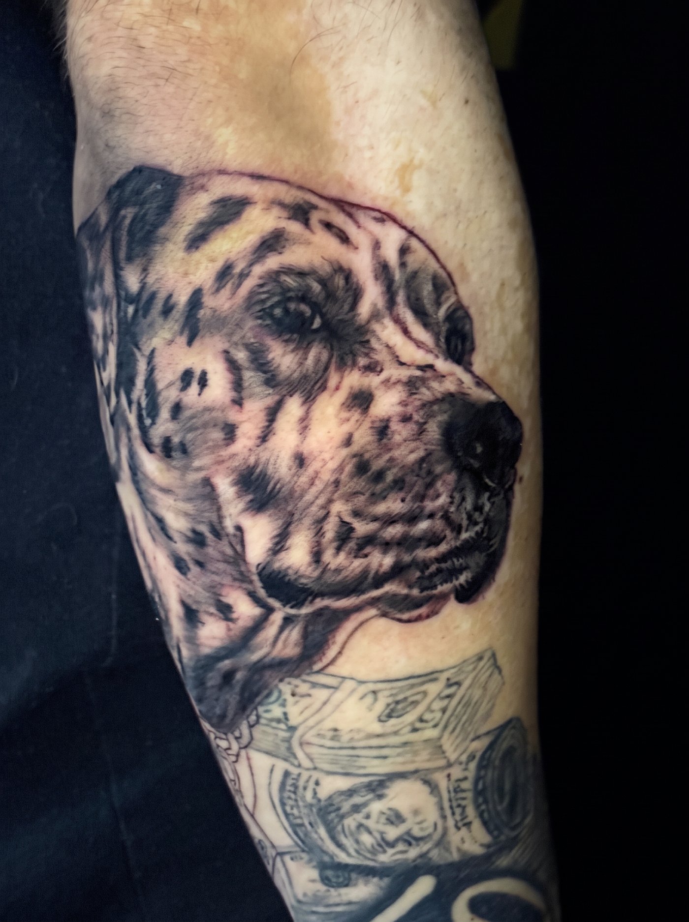 Retrato realista de un perro tatuado en el brazo